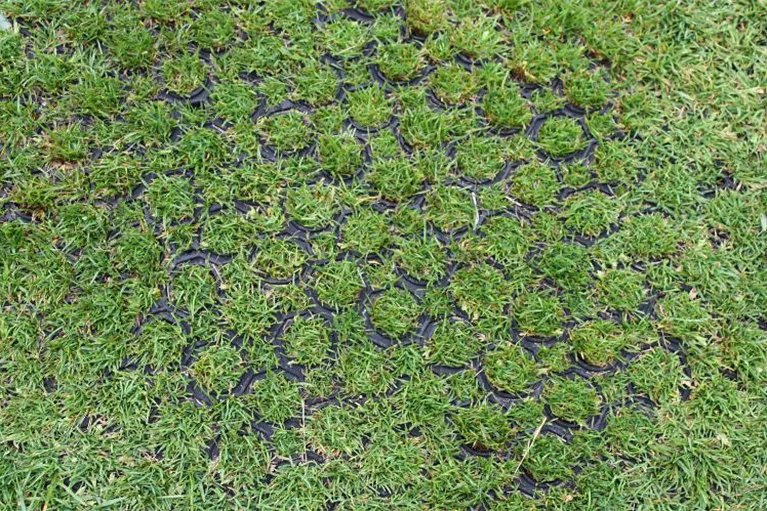 Rubber Grass Mats B